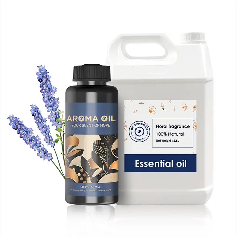 CNUS Wholesale Branded Perfume Fragrance Oil Long Lasting Oil Free Samples for Perfume Making