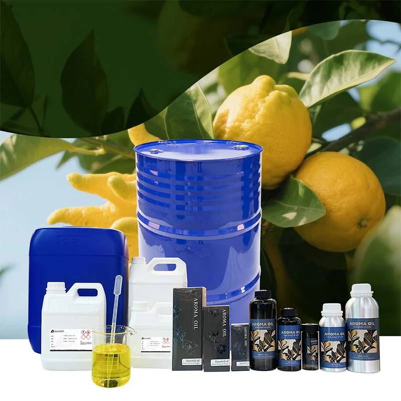 CNUS Long Lasting  Hotel Car Room Scent Air Freshener Diffuser Collection Natural Flavor Fragrance Oil