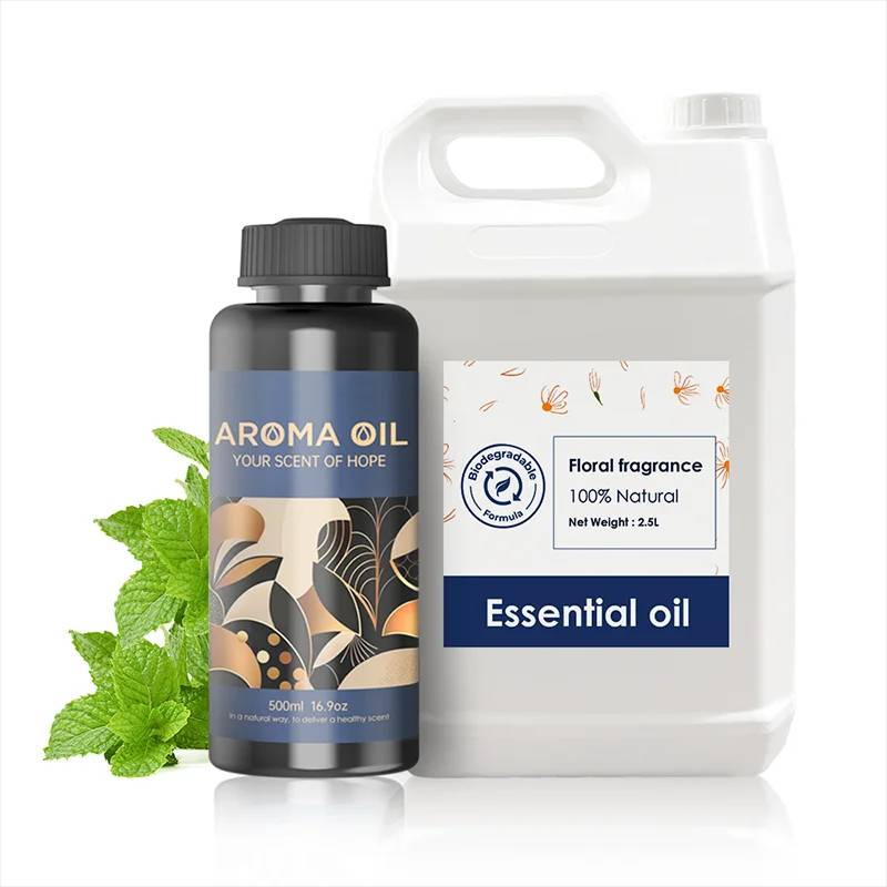 CNUS Original Factory Top Grade Perfume Fragrance Oil Manufacturer Provide Long Lasting Raw Material Oil for Perfume